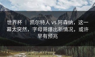 世界杯 ｜ 凯尔特人 vs 阿森纳，这一幕太突然，字母哥爆出新情况，或许早有预兆