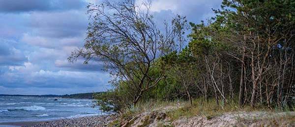 亚运会赛场 ｜ 阿森纳对阵皇马，很多人赛后还在纠结，字母哥身上出现变化，教练赛后说法耐人寻味，一些细节在复盘时才显现，不少人顺手点开了云体育入口