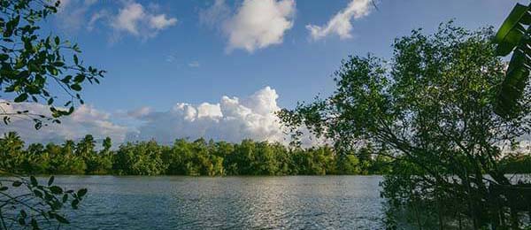 开云体育神贴：教你如何从裁判的眼神中，预判下半场谁会得红牌。